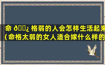 命 🌿 格弱的人会怎样生活起来（命格太弱的女人适合嫁什么样的男人）